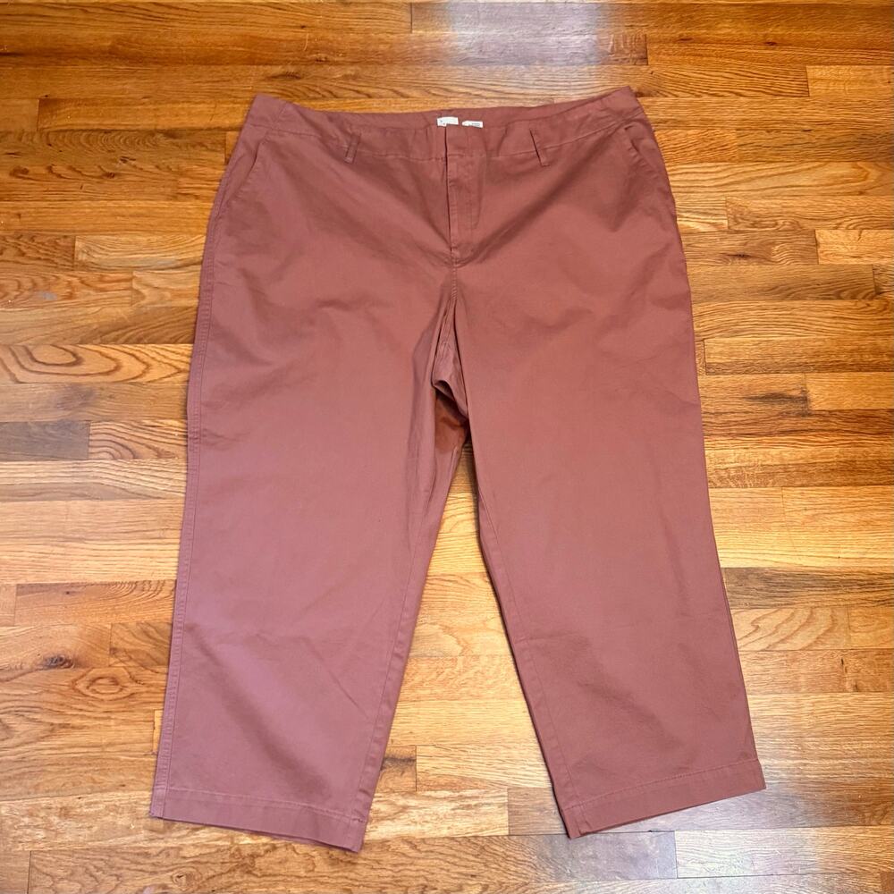 A New Day Womens 24 Plus Size Stretch Pockets Deep Terracotta  Crop Slacks Pants